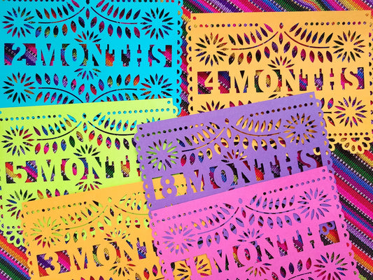 Papel picado 12 Month banner, First Fiesta banner, Mexican Fiesta banner decoration, Baby's first fiesta banner, First year banner