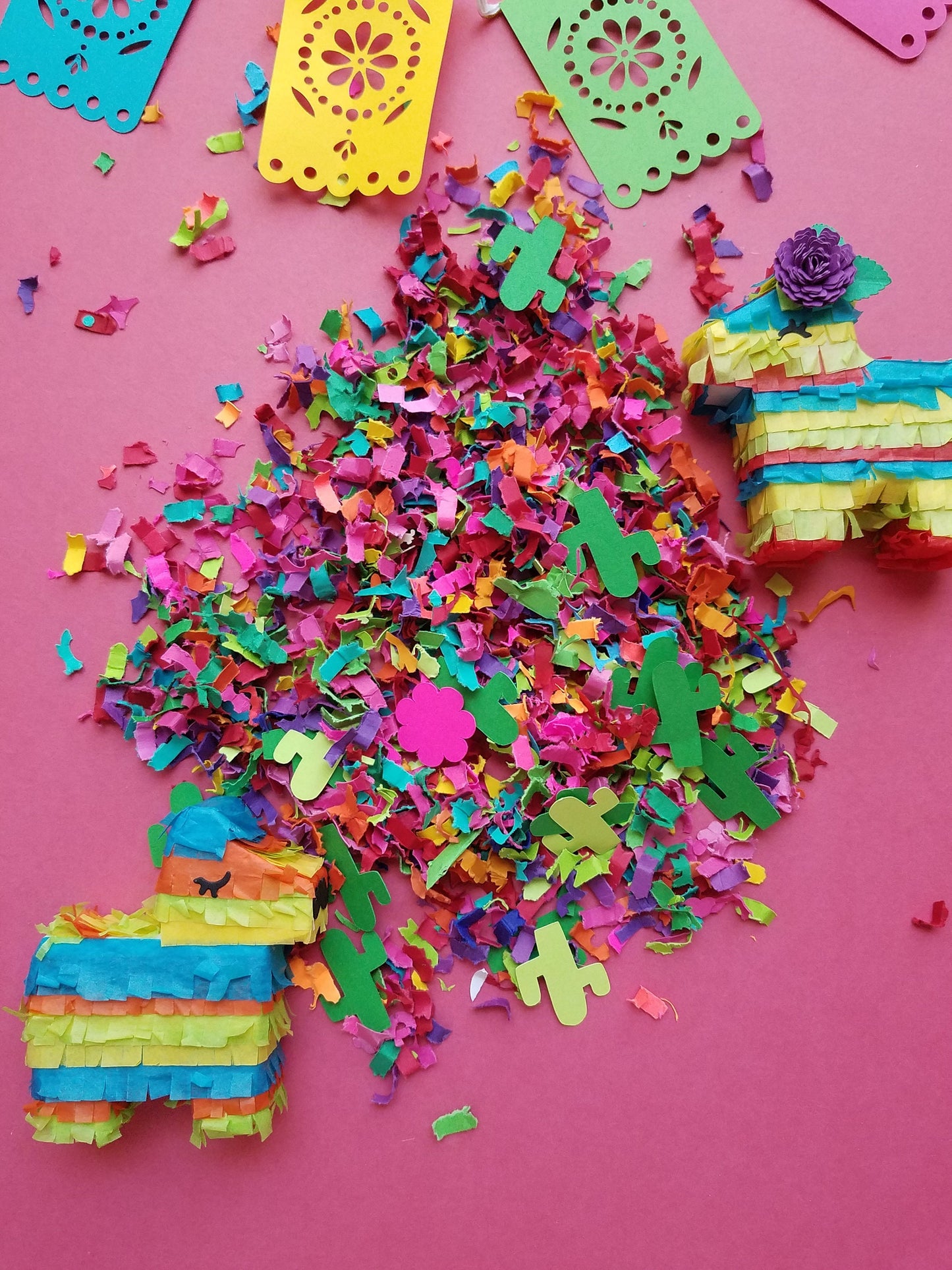 Fiesta confetti Mexican theme confetti Cactus confetti Paper confetti Cinco de Mayo confetti Llama theme confetti Piñata confetti Filler